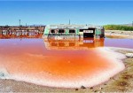 Biorremediación de aguas residuales
